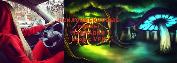 марки lsd Горно-Алтайск