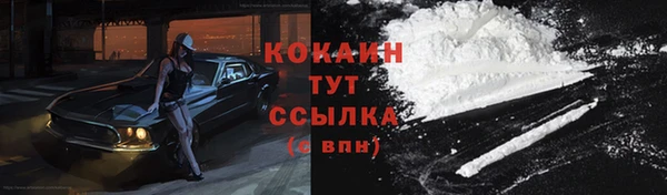 шишки Вязники