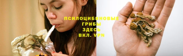 герыч Гусь-Хрустальный