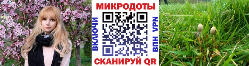 где можно купить наркотик  Жиздра  Псилоцибиновые грибы мухоморы 